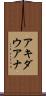 アキダウアナ Scroll