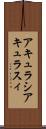 アキュラシ Scroll
