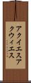 アクイエス Scroll
