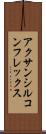 アクサンシルコンフレックス Scroll