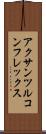 アクサンツルコンフレックス Scroll