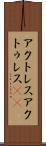 アクトレス Scroll