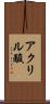 アクリル酸 Scroll