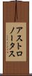 アストロノータス Scroll
