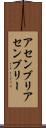 アセンブリ Scroll