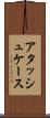 アタッシュケース Scroll
