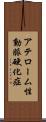 アテローム性動脈硬化症 Scroll
