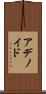 アデノイド Scroll