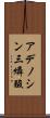 アデノシン三燐酸 Scroll