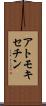 アトモキセチン Scroll