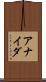 Anaida Scroll