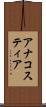 アナコスティア Scroll