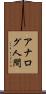 アナログ人間 Scroll