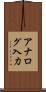アナログ入力 Scroll