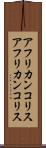 アフリカンコリス Scroll