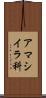 アマシイラ科 Scroll