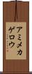 アミメカゲロウ Scroll