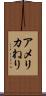 アメリカねり Scroll