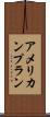 アメリカン・プラン Scroll