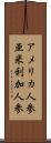 アメリカ人参 Scroll