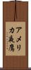 アメリカ夜鷹 Scroll