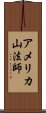 アメリカ山法師 Scroll