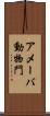 アメーバ動物門 Scroll