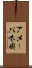 アメーバ赤痢 Scroll