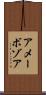 アメーボゾア Scroll