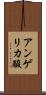 アンゲリカ酸 Scroll