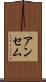 アンセム Scroll