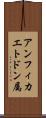 アンフィカエトドン属 Scroll