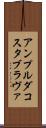 アンプルダコスタブラヴァ Scroll