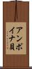 アンボイナ貝 Scroll