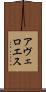 アヴェロエス Scroll