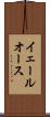 イェールオース Scroll