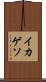 イカゲソ Scroll