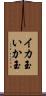 イカ玉 Scroll
