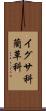 イグサ科 Scroll