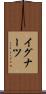 イグナーツ Scroll