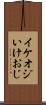 イケオジ Scroll