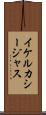 イケルカシージャス Scroll
