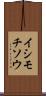 イシモチソウ Scroll