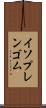 イソプレンゴム Scroll