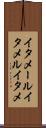イタメール Scroll