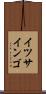イツサインゴ Scroll
