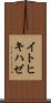 イトヒキハゼ Scroll