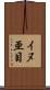 イヌ亜目 Scroll