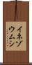イネゾウムシ Scroll