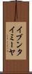イブンタイミーヤ Scroll